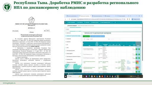 Республика Тыва. Доработка РМИС и разработка регионального НПА по диспансерному наблюдению