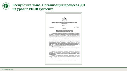 Республика Тыва. Организация процесса ДН на уровне РОИВ субъекта